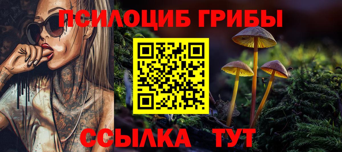 Галлюциногенные грибы Psilocybine cubensis Братск
