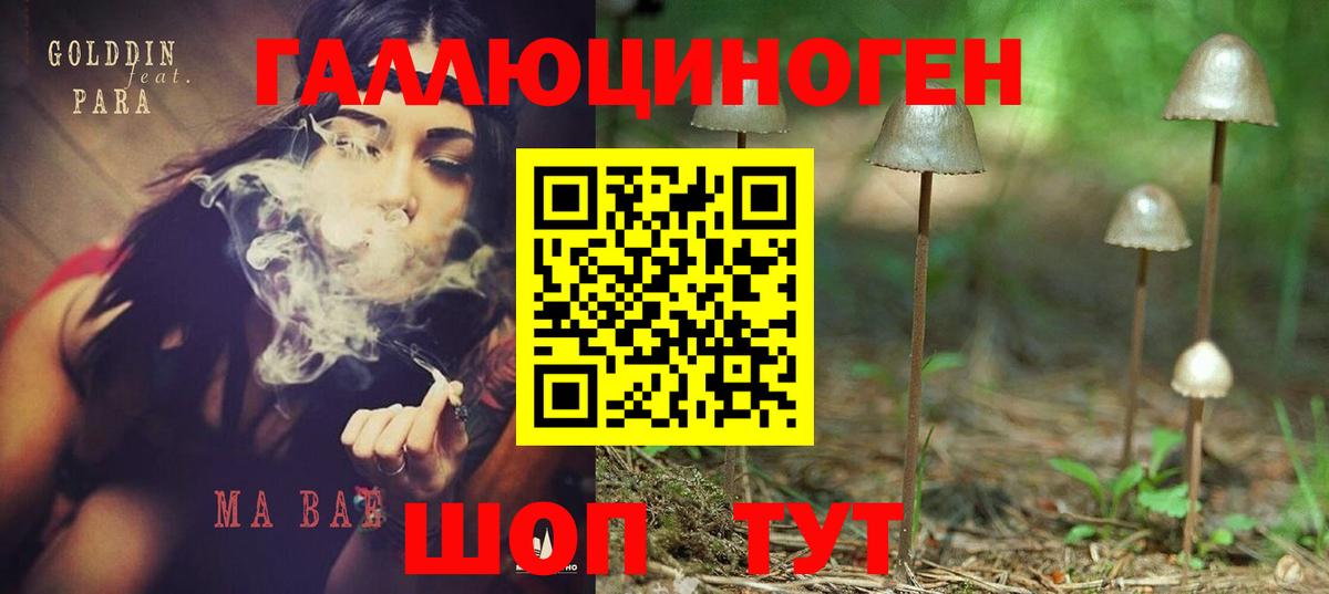 Братск  Псилоцибиновые грибы Psilocybe  Вход с VPN 